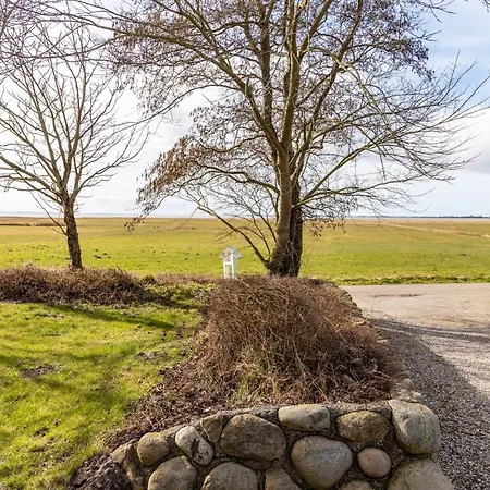 Schipp Landen Lisa *