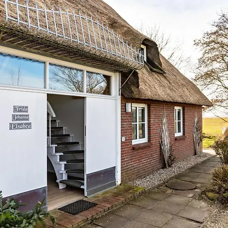 Schipp Landen Lisa *